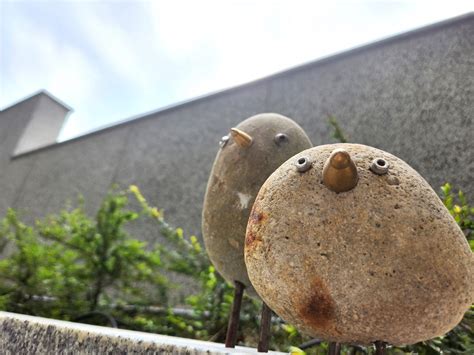 石頭鳥